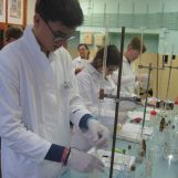 KRAJSKÉ KOLO CHEMICKEJ OLYMPIÁDY KATEGÓRIA A