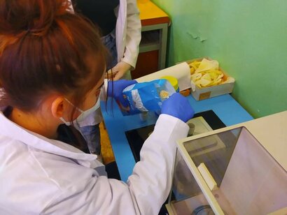 Žiaci z 2.B dnes robili zaujímavé veci. Stanovili obsah olejového podielu z rastlinných nátierok. Izolovali vážiteľný produkt sušením a naučili sa pracovať s chemickou sušiarňou a exikátorom.