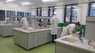 pm1