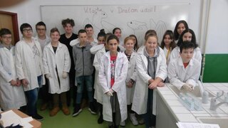 cch4