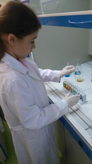 cch6
