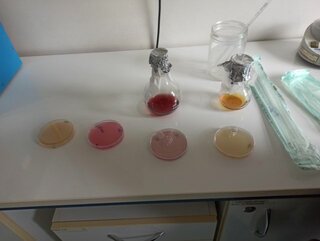 IMG_20241115_094834