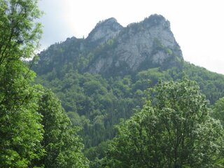 IMG_2152
