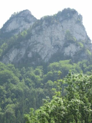 IMG_2153