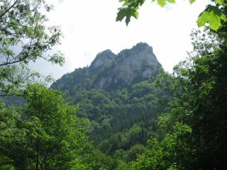 IMG_2154