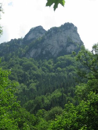 IMG_2155