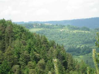 IMG_2159