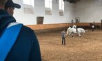 IMG_0118