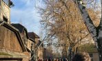 IMG_5179