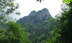 IMG_2154