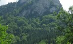 IMG_2155