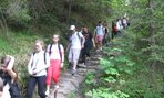 IMG_2164