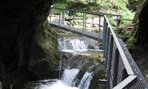 IMG_2182
